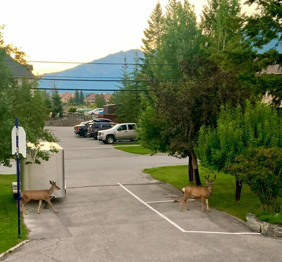 Mountain Springs Motel Radium Hot Springs Exterior foto